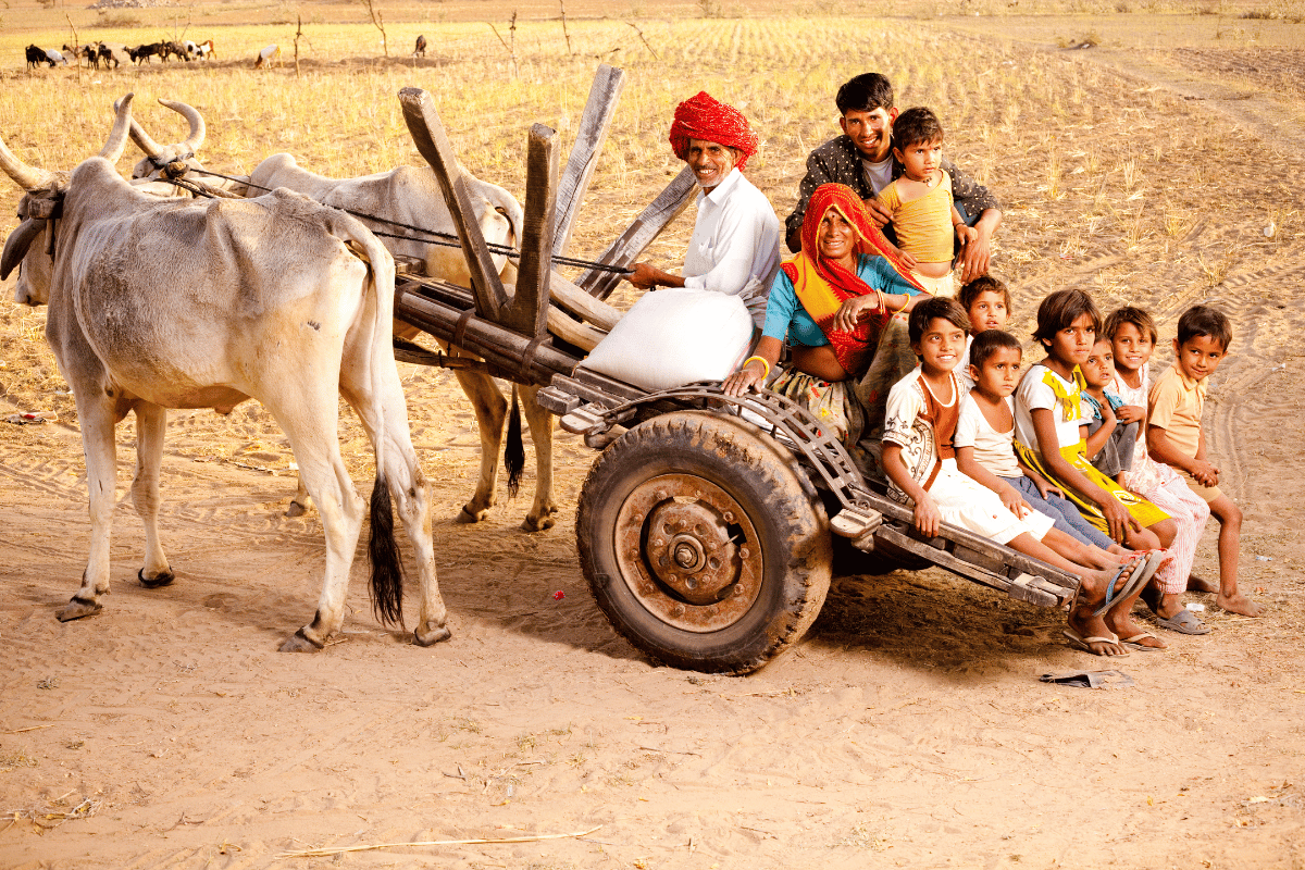 Eco-luxury, nature-inspired, resort lifestyle (10)